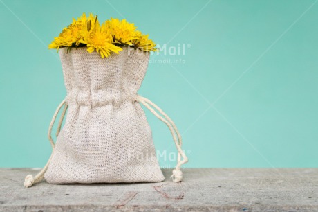 Fair Trade Photo Bag, Birthday, Blue, Chachapoyas, Colour image, Condolence-Sympathy, Flower, Friendship, Get well soon, Horizontal, Love, Mothers day, Nature, Peru, Sorry, South America, Thank you, Thinking of you, Valentines day, Yellow