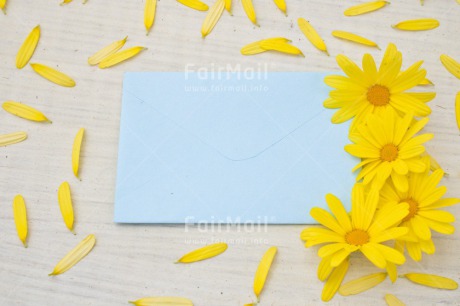 Fair Trade Photo Birthday, Blue, Colour image, Envelope, Flower, Friendship, Get well soon, Horizontal, Love, Marriage, Mothers day, New baby, Peru, Sorry, South America, Thank you, Thinking of you, Valentines day, Wedding, Yellow