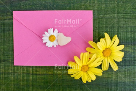 Fair Trade Photo Colour image, Daisy, Envelope, Flower, Heart, Horizontal, Love, Marriage, Peru, Pink, South America, Thinking of you, Valentines day, Wedding