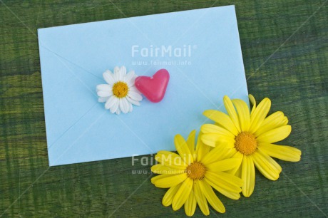 Fair Trade Photo Blue, Colour image, Daisy, Envelope, Flower, Heart, Horizontal, Love, Marriage, Peru, South America, Thinking of you, Valentines day, Wedding
