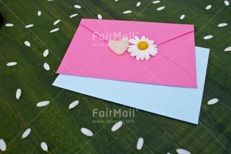 Fair Trade Photo Blue, Colour image, Daisy, Envelope, Flower, Heart, Horizontal, Love, Marriage, Peru, Petals, Pink, South America, Thinking of you, Valentines day, Wedding