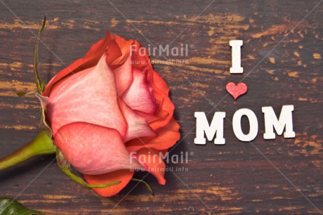 Fair Trade Photo Colour image, Flower, Heart, Letter, Mothers day, Peru, Rose, South America, Text, Wood