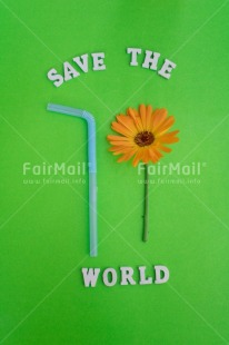Fair Trade Photo Can, Care, Change, Climate, Colour, Colour image, Earth, Eco-friendly, Environment, Flower, Future, Globe, Green, Letter, Life, Nature, Object, Peru, Place, Planet, Pollution, Protection, Resilience, Save, South America, Straw, Text, Vertical, World