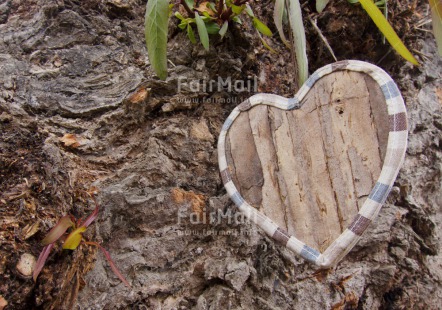 Fair Trade Photo Colour image, Day, Heart, Horizontal, Love, Mothers day, Nature, Outdoor, Peru, South America, Tree, Valentines day, Wood