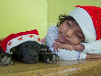 Fair Trade Photo Activity, Animals, Christmas, Colour image, Dog, Funny, Horizontal, One girl, People, Peru, Sleeping, South America, Star