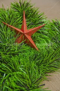 Fair Trade Photo Christmas, Closeup, Colour image, Green, Peru, Red, South America, Star, Tree, Vertical