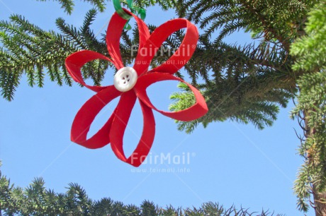 Fair Trade Photo Christmas, Colour image, Horizontal, Peru, Red, Sky, South America, Star, Tree