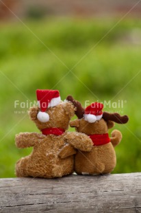 Fair Trade Photo Christmas, Colour image, Friendship, Hat, Peru, Reindeer, South America, Teddybear, Together, Vertical