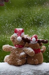 Fair Trade Photo Christmas, Colour image, Friendship, Peru, Snow, South America, Teddybear, Together, Vertical