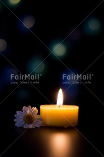 Fair Trade Photo Black, Candle, Colour image, Condolence-Sympathy, Daisy, Emotions, Flame, Flower, Indoor, Light, Night, Peru, Sadness, South America, Studio
