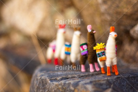 Fair Trade Photo Activity, Animals, Colour image, Colourful, Day, Flower, Friendship, Group, Holiday, Horizontal, Llama, Mountain, Multi-coloured, Outdoor, Peru, Seasons, South America, Stone, Summer, Team, Together, Toy, Travel, Travelling, Walking, Winter