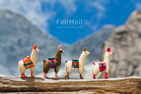 Fair Trade Photo Activity, Animals, Colour image, Colourful, Day, Friendship, Group, Holiday, Horizontal, Llama, Mountain, Multi-coloured, Nature, Outdoor, Peru, Seasons, South America, Stone, Summer, Team, Together, Toy, Travel, Travelling, Walking, Winter, Wood