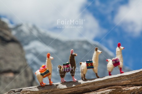Fair Trade Photo Activity, Animals, Colour image, Colourful, Day, Friendship, Group, Holiday, Horizontal, Llama, Mountain, Multi-coloured, Nature, Outdoor, Peru, Seasons, South America, Stone, Summer, Team, Together, Toy, Travel, Travelling, Walking, Winter, Wood