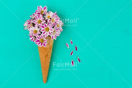 Fair Trade Photo Birthday, Colour image, Fathers day, Flower, Food and alimentation, Friendship, Horizontal, Ice cream, Love, Mothers day, Peru, Seasons, South America, Spring, Summer, Valentines day