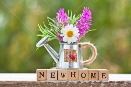 Fair Trade Photo Colour image, Daisy, Flower, Home, Horizontal, Letters, Moving, New home, Peru, South America, Text, Water, Watering can, Welcome home