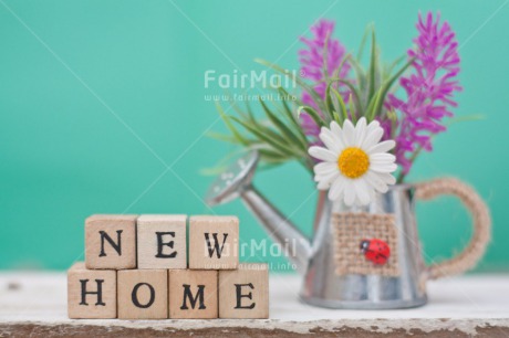 Fair Trade Photo Colour image, Daisy, Flower, Home, Horizontal, Letters, Moving, New home, Peru, South America, Text, Water, Watering can, Welcome home