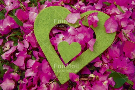 Fair Trade Photo Birth, Colour image, Flower, Green, Heart, Horizontal, Love, New baby, Peru, Pink, Pregnant, South America, Valentines day
