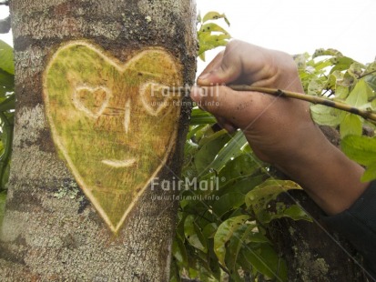 Fair Trade Photo Activity, Colour image, Drawing, Face, Green, Hand, Heart, Horizontal, Love, Nature, Outdoor, Peru, South America, Tabletop, Tree