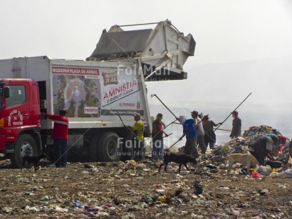 Fair Trade Photo Activity, Animals, Casual clothing, Clothing, Colour image, Day, Dog, Garbage, Garbage belt, Group of men, Horizontal, Outdoor, People, Peru, Sanitation, South America, Transport, Truck, Working