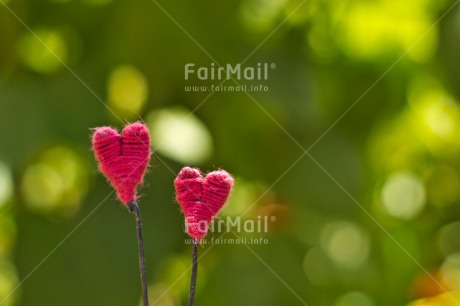 Fair Trade Photo Colour image, Green, Heart, Horizontal, Love, Marriage, Mothers day, Peru, Pink, South America, Thinking of you, Valentines day, Wedding