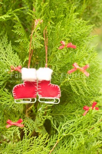 Fair Trade Photo Boot, Christmas, Christmas decoration, Christmas tree, Clothing, Colour, Colour image, Object, Pine, Place, Red, Skate, South America, Staple, Vertical, White