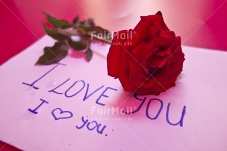 Fair Trade Photo Closeup, Colour image, Flower, Heart, Horizontal, Indoor, Letter, Love, Marriage, Mothers day, Peru, Red, Rose, South America, Studio, Valentines day