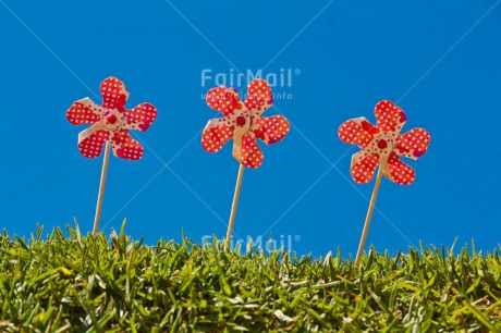 Fair Trade Photo Birthday, Blue, Clouds, Day, Grass, Green, Horizontal, Outdoor, Party, Red, Sky, Summer, Windmill