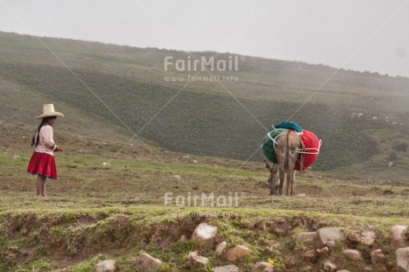 Fair Trade Photo 10-15 years, Animals, Clothing, Day, Donkey, Emotions, Horizontal, Latin, Loneliness, Mountain, One girl, Outdoor, People, Rural, Scenic, Sombrero, Traditional clothing, Travel