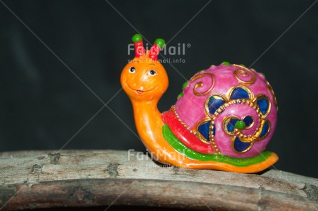 Fair Trade Photo Animals, Closeup, Colour image, Colourful, Cute, Horizontal, Peru, Snail, South America