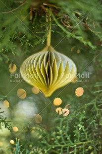 Fair Trade Photo Ball, Chachapoyas, Christmas, Christmas decoration, Christmas tree, Colour, Colour image, Green, Leaf, Light, Nature, Object, Peru, Pine cone, Place, South America, Vertical