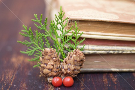Fair Trade Photo Book, Christmas, Christmas decoration, Colour, Colour image, Horizontal, Object, Pine, Pine cone, Place, Red, South America, Wood