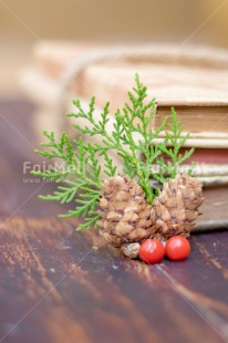 Fair Trade Photo Book, Christmas, Christmas decoration, Colour, Colour image, Object, Pine, Pine cone, Place, Red, South America, Vertical, Wood