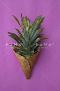Fair Trade Photo Activity, Colour, Colour image, Colourful, Cone, Dreaming, Dreams, Emotions, Food, Food and alimentation, Fresh, Fruit, Happiness, Peru, Pineapple, Place, Seasons, South America, Summer