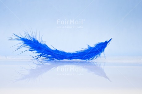 Fair Trade Photo Adjective, Blue, Colour, Colour image, Feather, Friendship, Get well soon, Horizontal, Peace, Peru, Place, Sorry, South America, Spirituality, Thank you, Thinking of you, Values, White