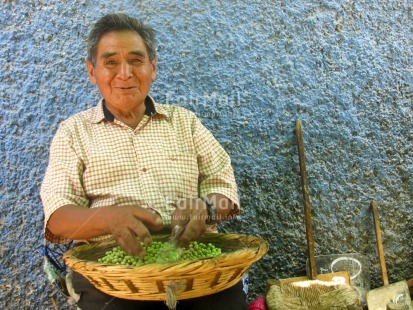 Fair Trade Photo Activity, Basket, Beans, Blue, Colour image, Dailylife, Day, Entrepreneurship, Food and alimentation, Horizontal, Indoor, Looking at camera, Market, Multi-coloured, Old age, One man, Outdoor, People, Peru, Portrait halfbody, Proud, South America, Streetlife, Working