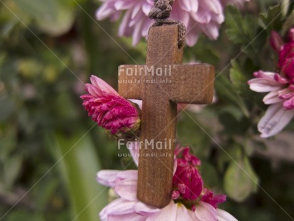 Fair Trade Photo Christianity, Colour image, Cross, Flower, Focus on foreground, Green, Horizontal, Nature, Outdoor, Peru, Pink, Religion, Religious object, South America, Spirituality, Tabletop