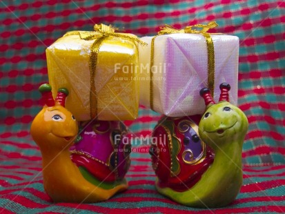 Fair Trade Photo Animals, Birthday, Christmas, Colour image, Cute, Friendship, Gift, Horizontal, Indoor, Multi-coloured, Peru, Snail, South America, Studio, Tabletop, Together