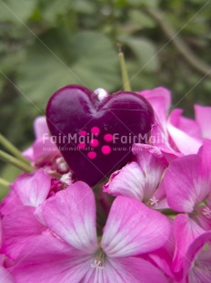 Fair Trade Photo Colour image, Day, Heart, Love, Outdoor, Peru, Pink, Purple, South America, Valentines day, Vertical