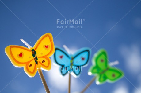 Fair Trade Photo Birthday, Blue, Butterfly, Friendship, Good luck, Horizontal, Invitation, Party, Sky, Summer