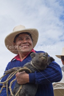 Fair Trade Photo Agriculture, Animals, Care, Day, Ethnic-folklore, Latin, Market, One man, Outdoor, People, Peru, Pig, Smiling, Sombrero, South America, Swine, Vertical