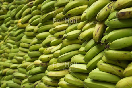Fair Trade Photo Banana, Colour image, Food and alimentation, Fruits, Fullframe, Green, Horizontal, Peru, South America